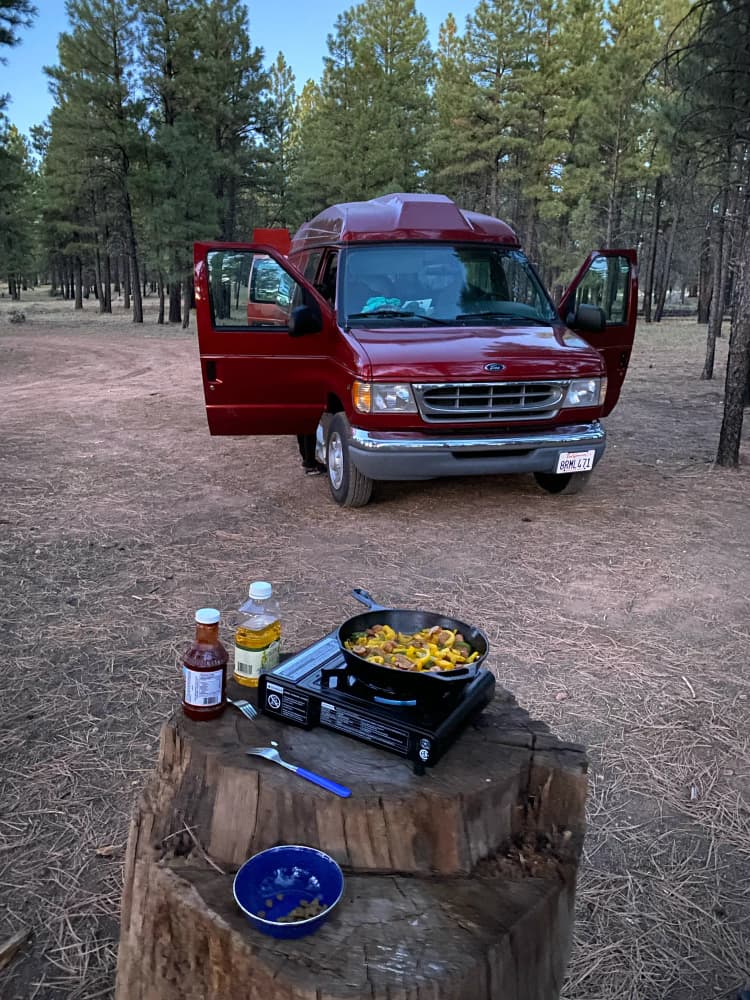 Red Ford E250 within pine trees