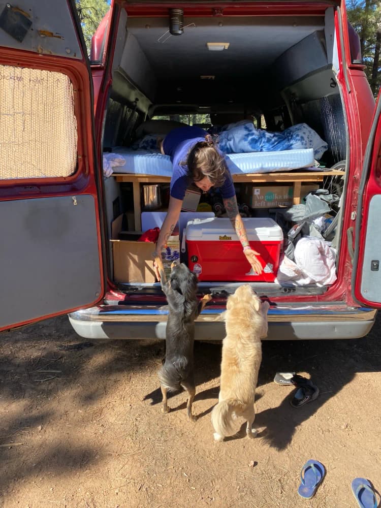 Ford E250 within pine trees
